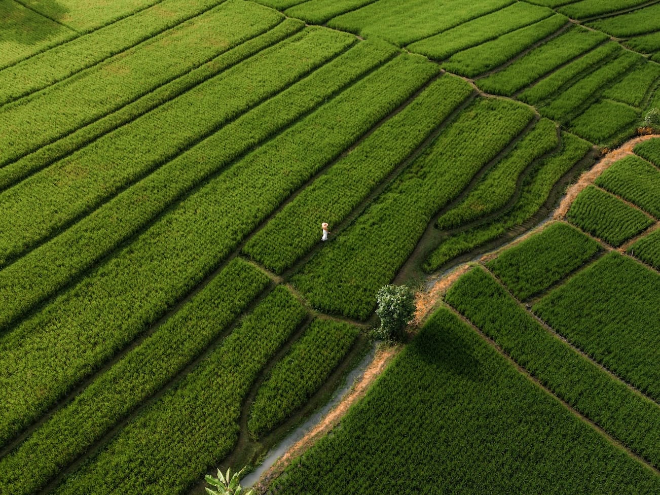 Farm Aerial