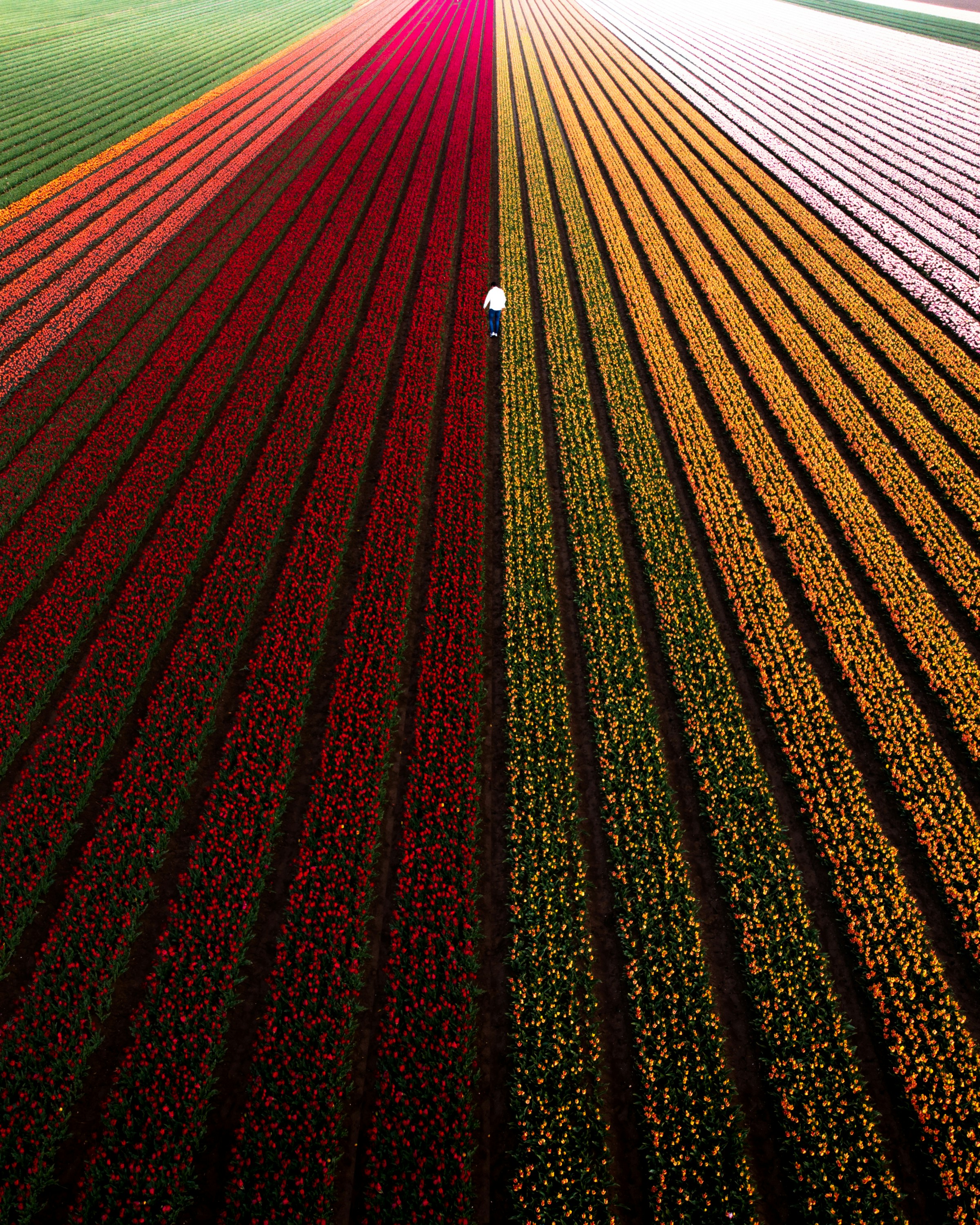 red and brown road during daytime