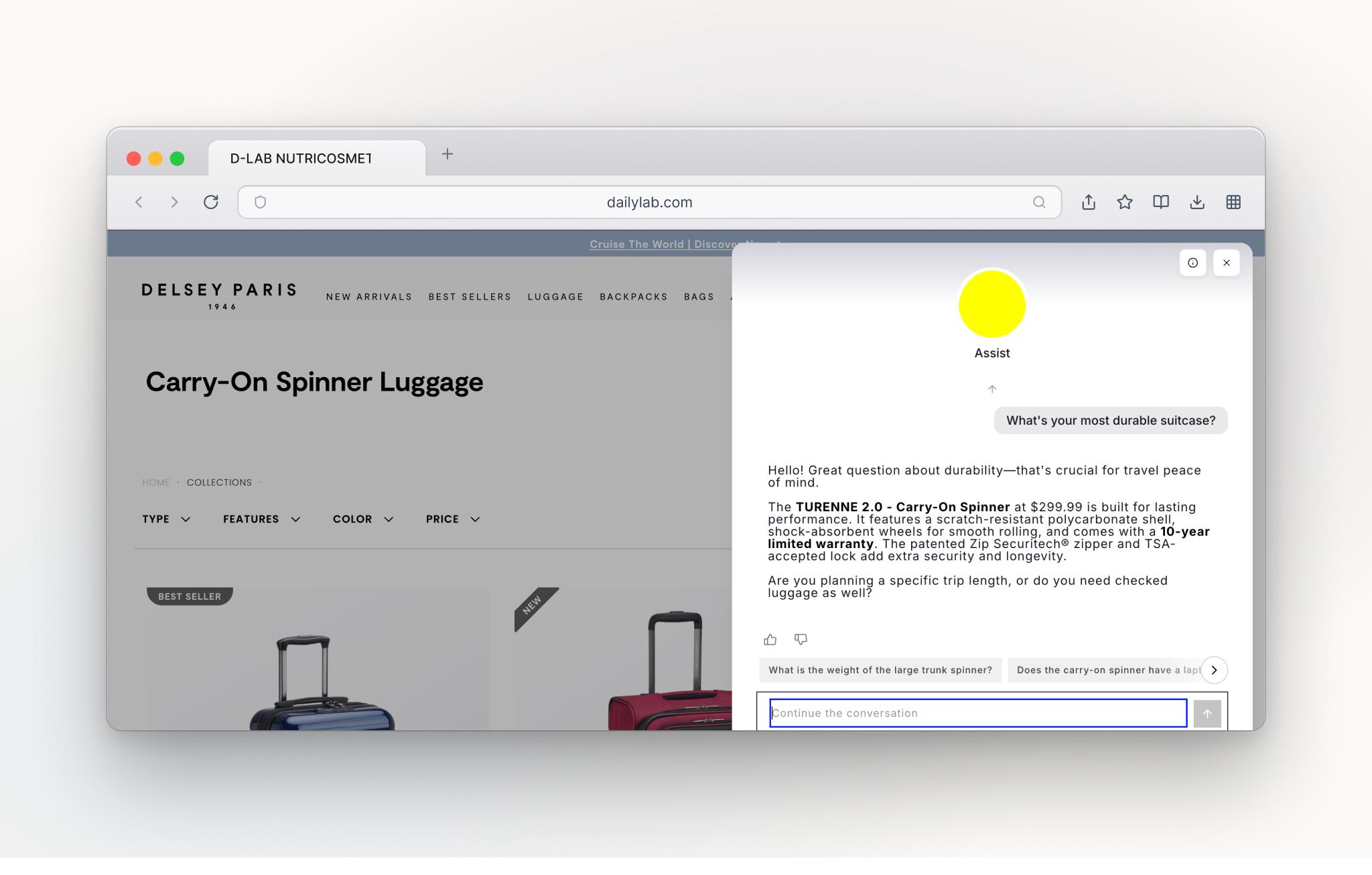 Delsey.com AI shopping assistant