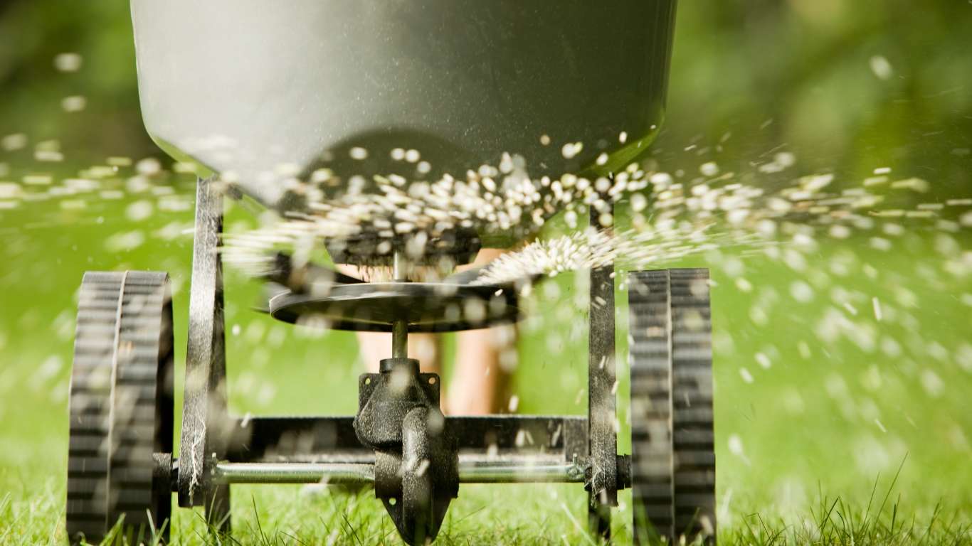 Residential Tree Fertilization