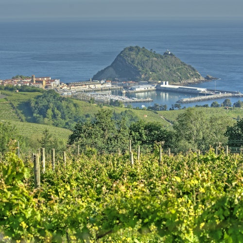 Green vineyards in the foreground, a coastal town, marina, and a hill with dense vegetation are in the background.