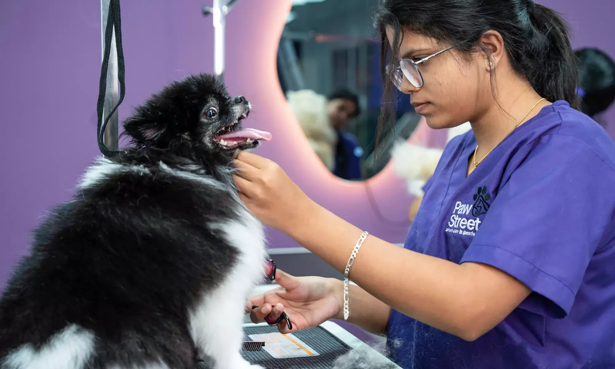 Dog Grooming in Dubai