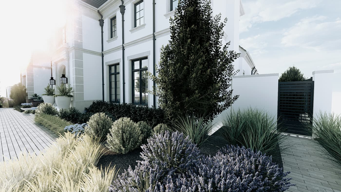 Front Yard Structured Planting Design - Landscape Design Services in Coppel, TX