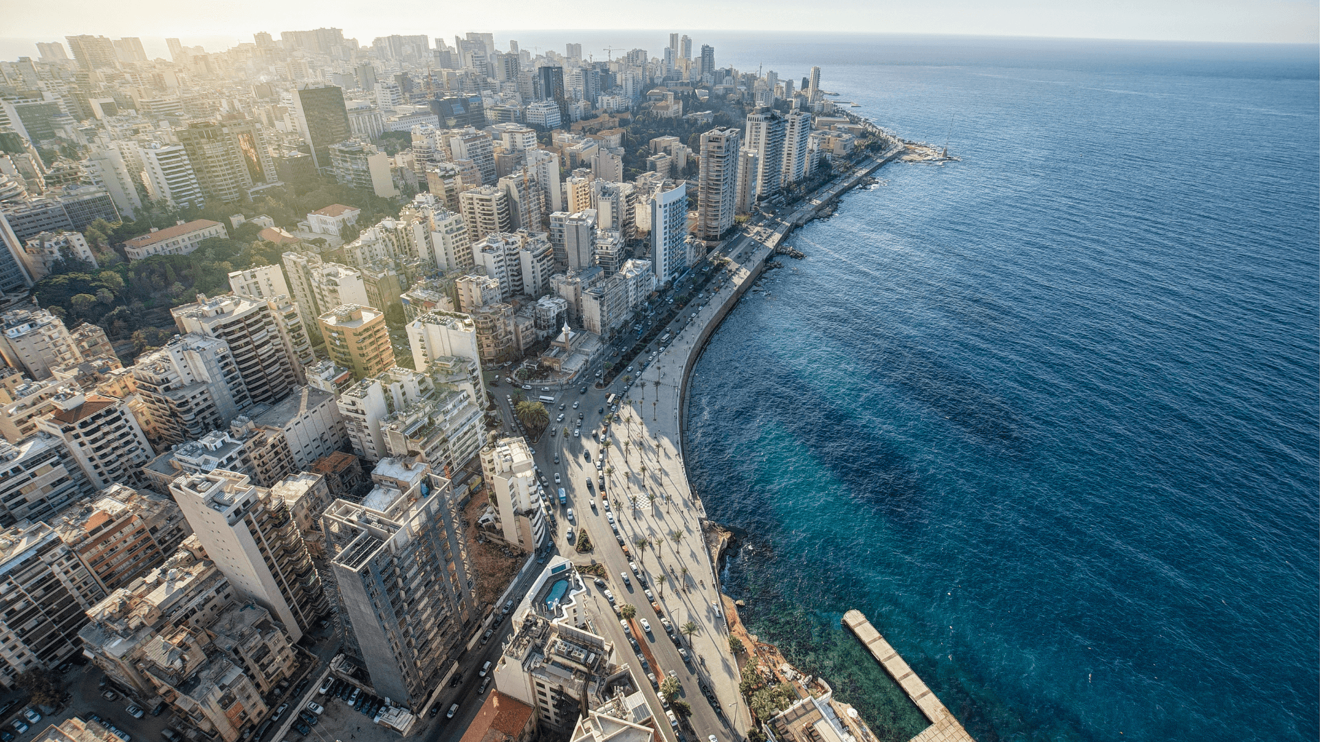 people sitting on chair in front of laptop computers