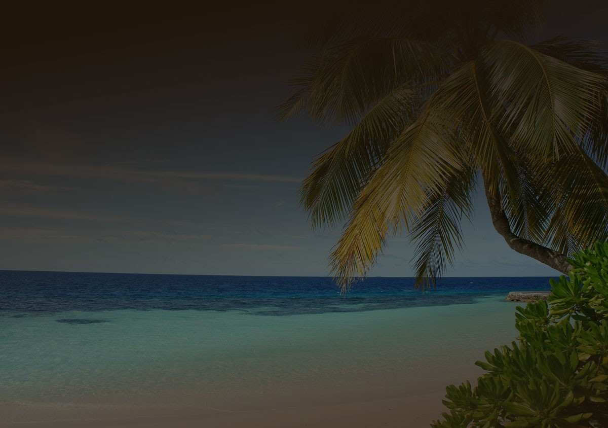 CTA image - Yoga during sunrise