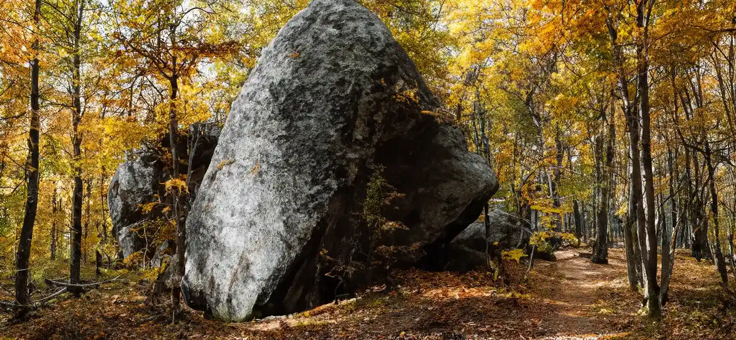 Herbstlicher Waldweg mit einem großen Felsen umgeben von bunten Bäumen – ein ruhiges Naturbild.