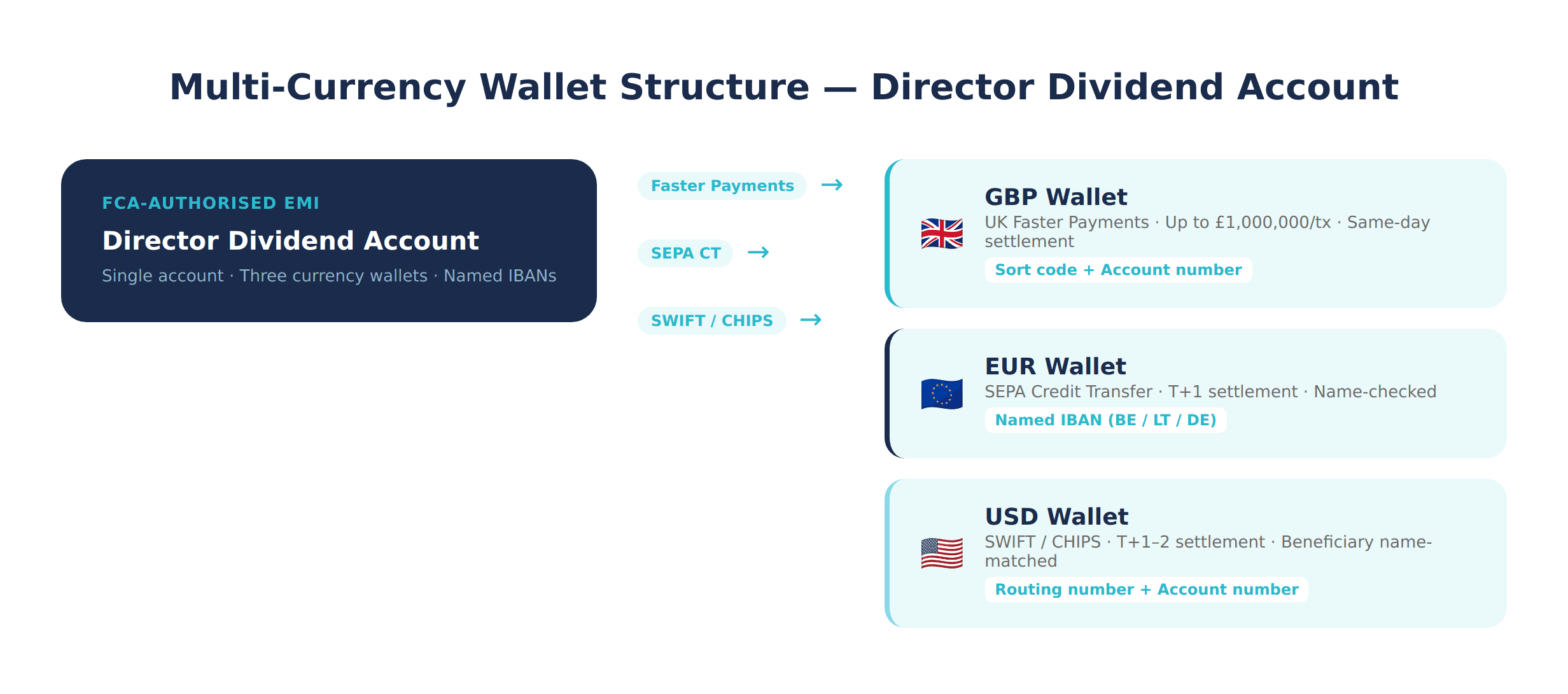 Multi-Currency Wallet Structure - Director Dividend Account
