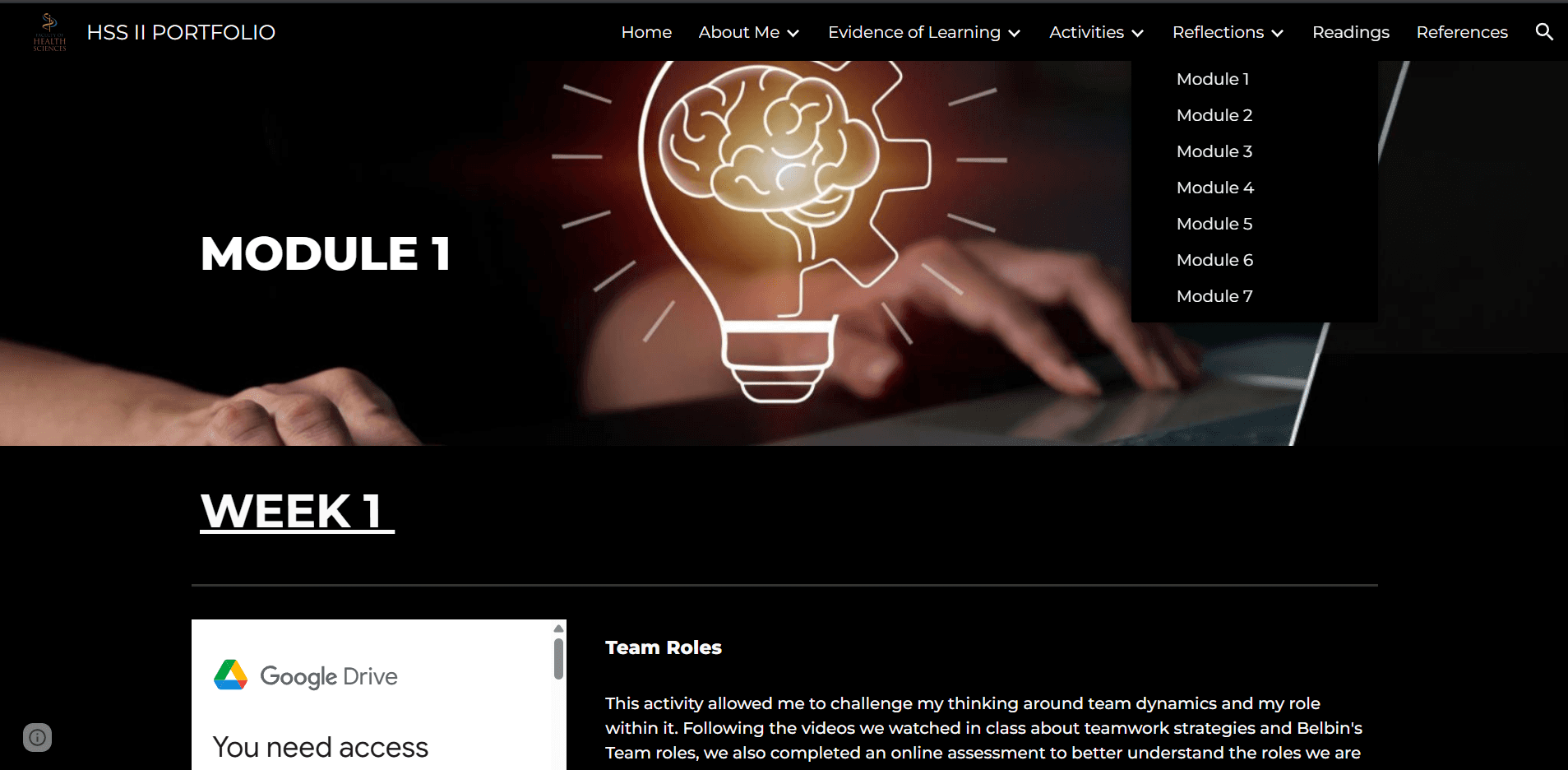 Medical student portfolio website design — WaveLight project