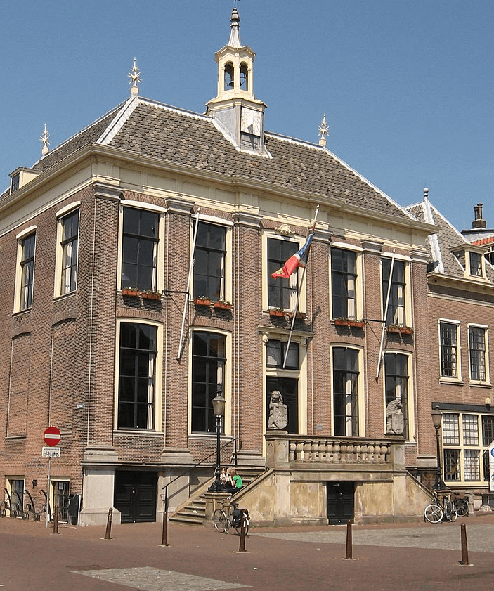 dakgoot onderhoud Deil