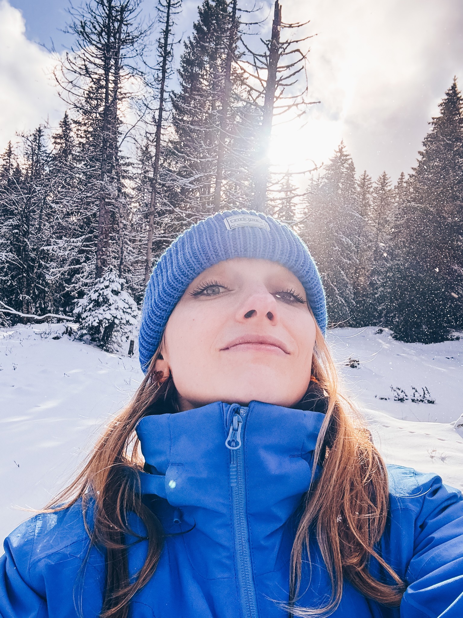 The image featured at the top of the about us page #1