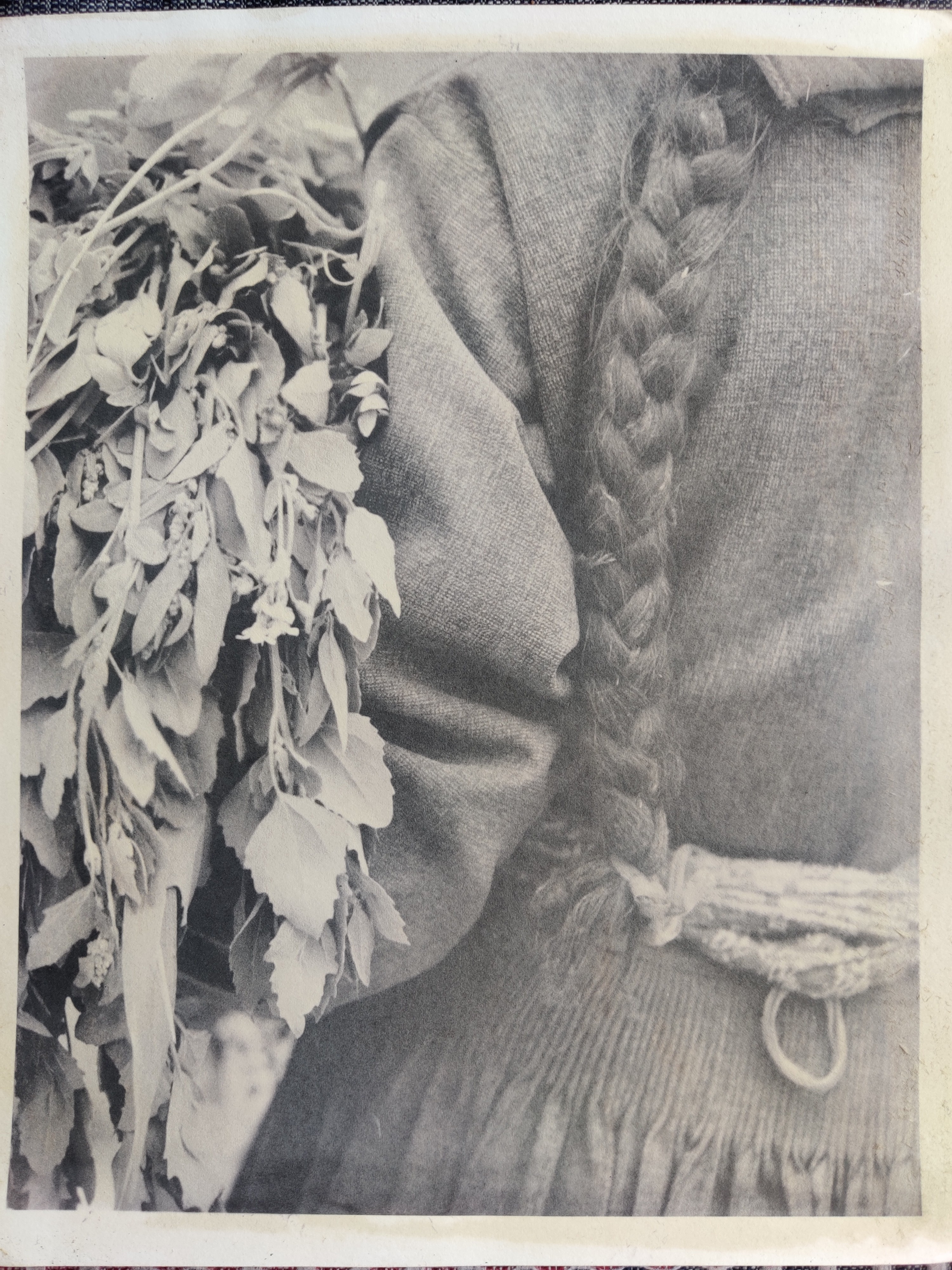 herd of sheep on road painting