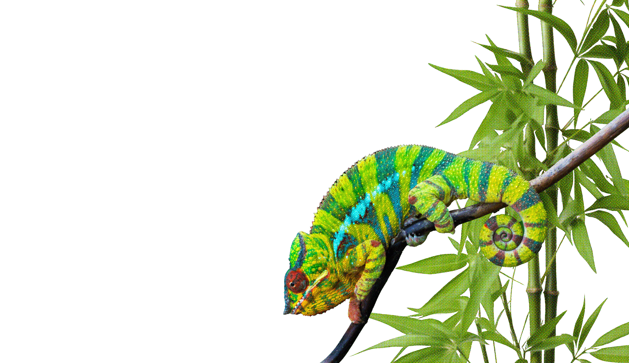 a black wireless headphone