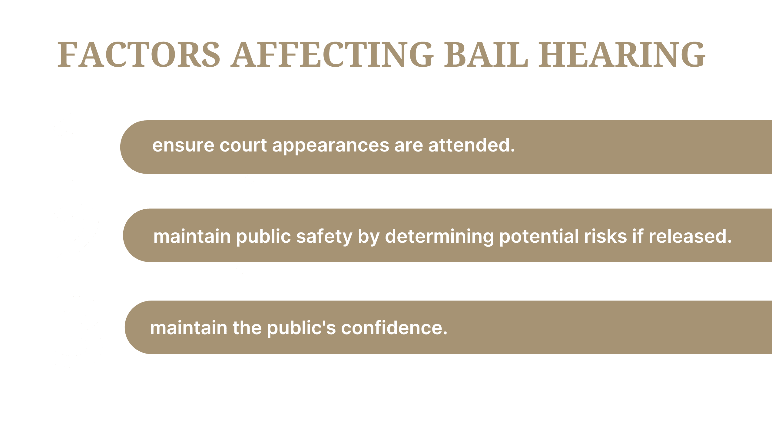 The top 3 factors that affect the bail hearing outcome.