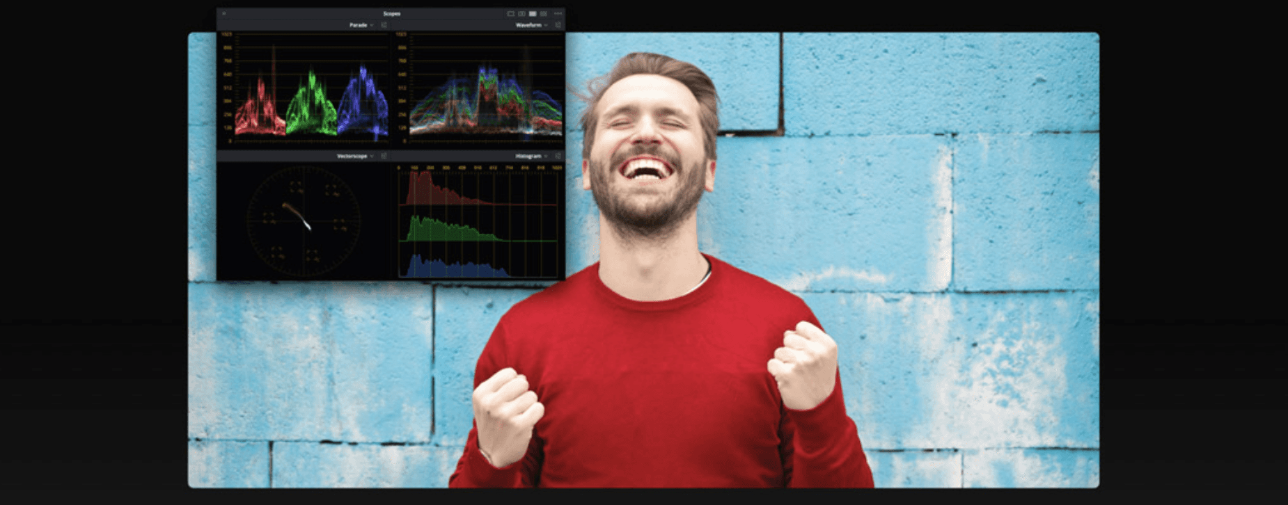 DaVinci Resolve video scopes displaying RGB parade, waveform, vectorscope, and histogram readings.