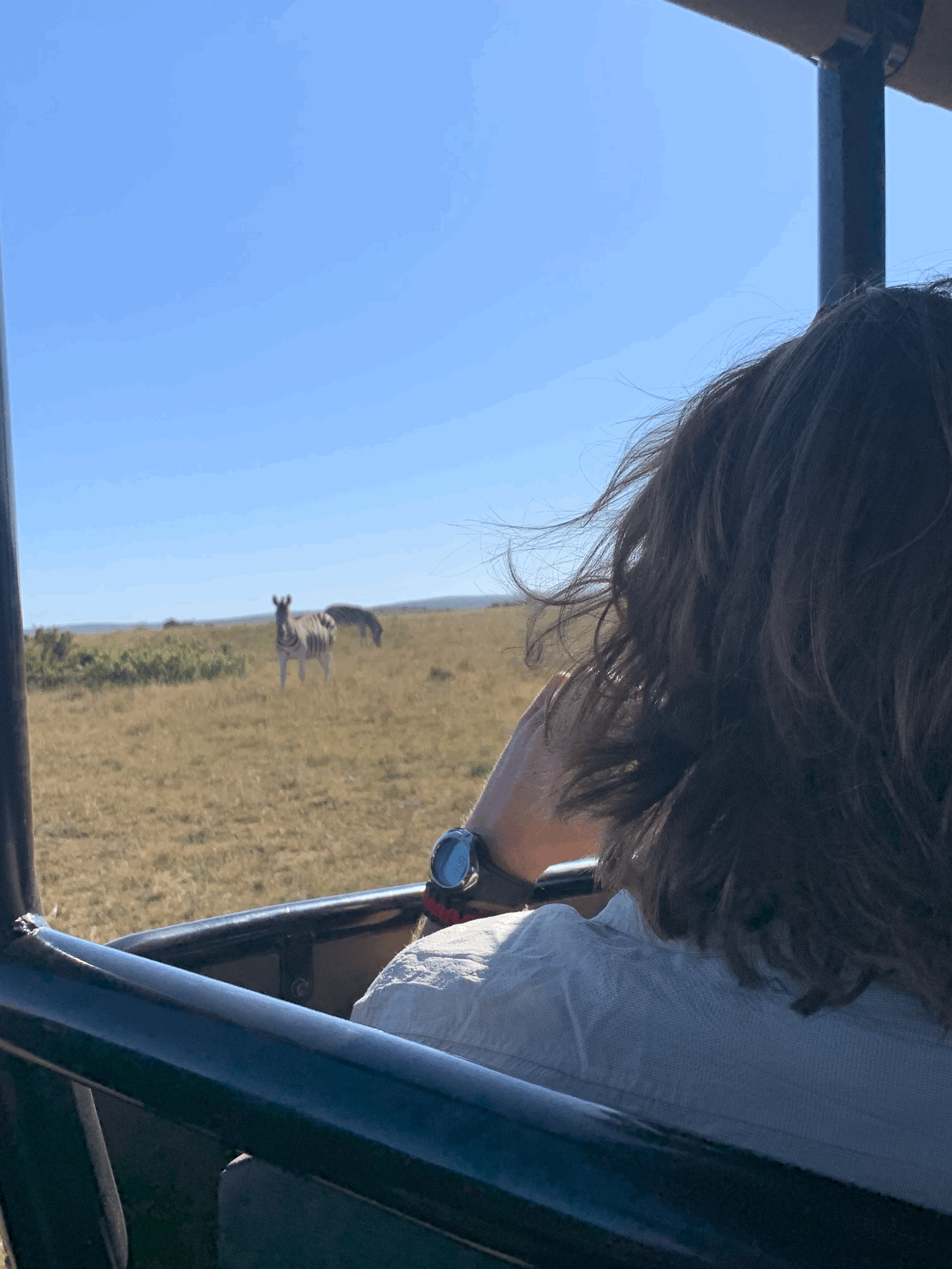 safari en afrique apprendre l'anglais