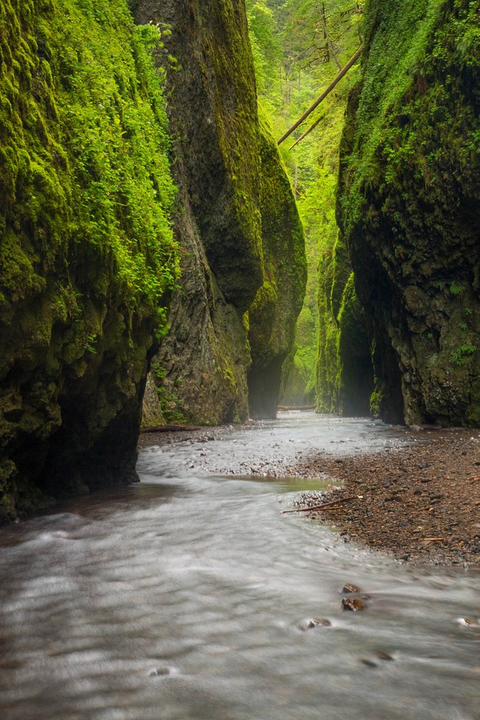 The Hidden Flow by Aleksander Dylikowski