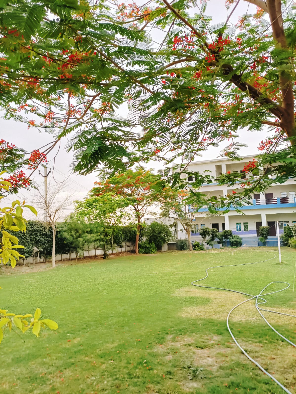 best school in Sikandrabad