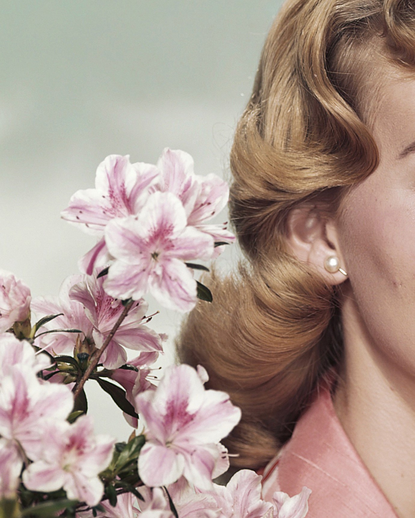 City bus with a red and blue advertisement for the Royal BC Museum. The title reads A Mammoth Experience.