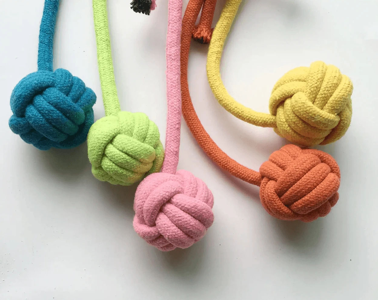 Wenzhou Pet Toy Factory District