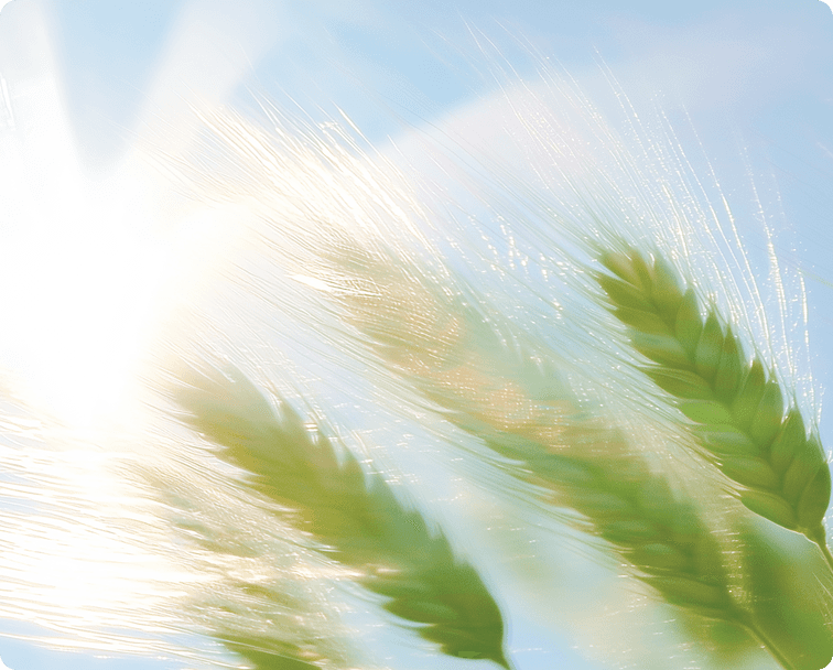 Dynamic motion visuals with smooth transitions designed to increase engagement and user attention