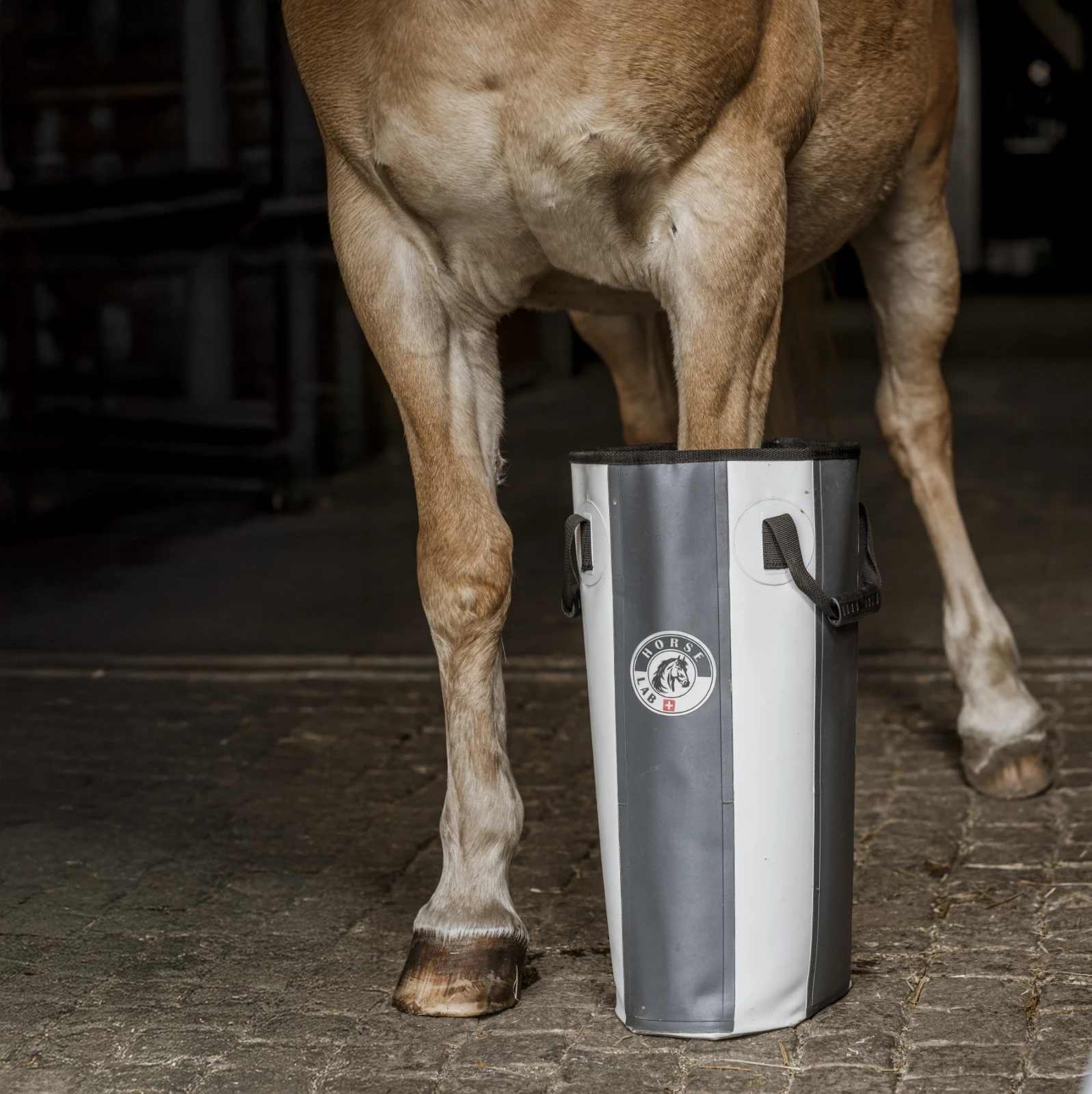 Fotografia produktowa urządzenia HorseLab do terapii ozonowej dla koni