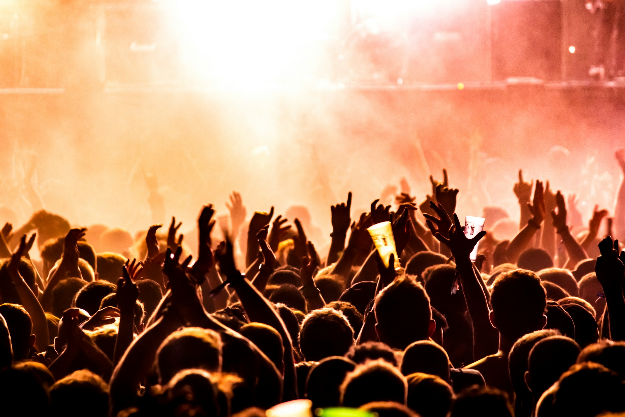 Live crowd under warm lights