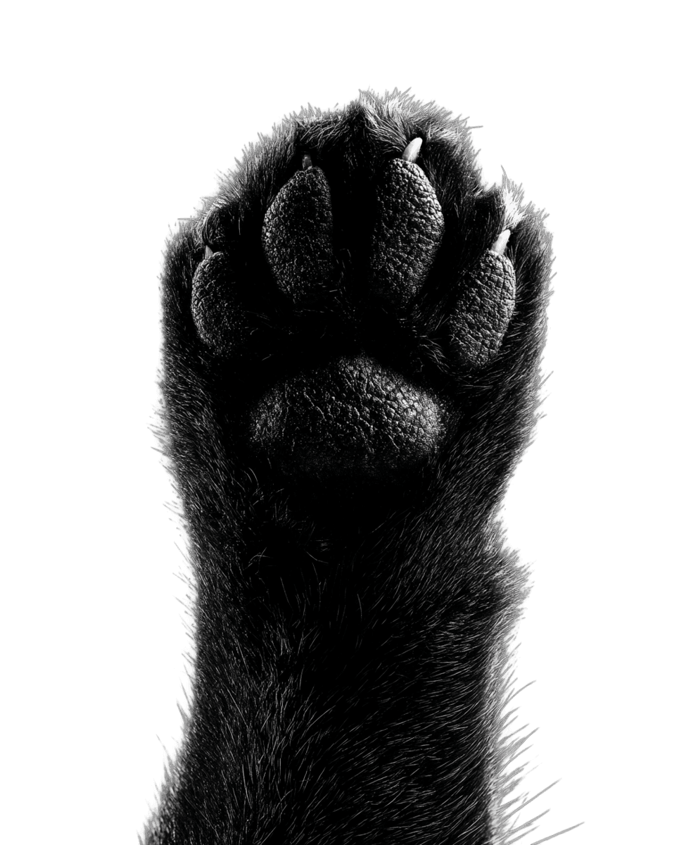 Projektovanje ventilisanih fasada i razrada tehničke dokumentacije