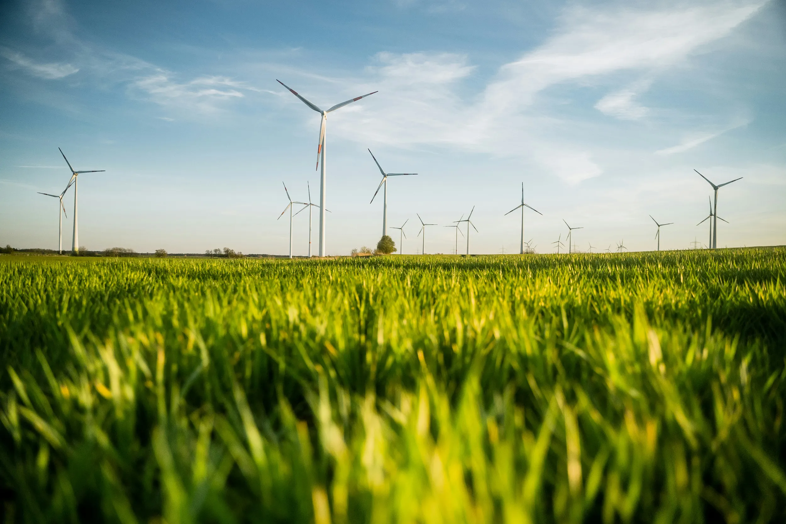 Wind turbines generating renewable energy in green agricultural field under blue sky