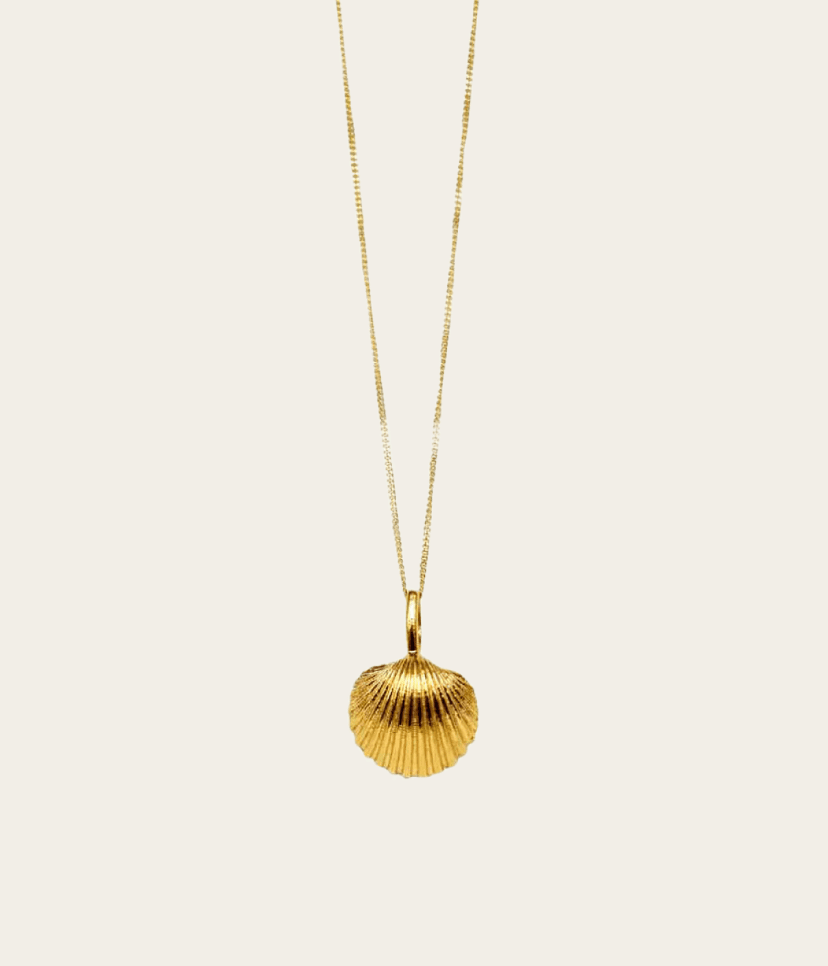 necklace macro cardiidae