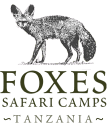 Foxes Safari Camps