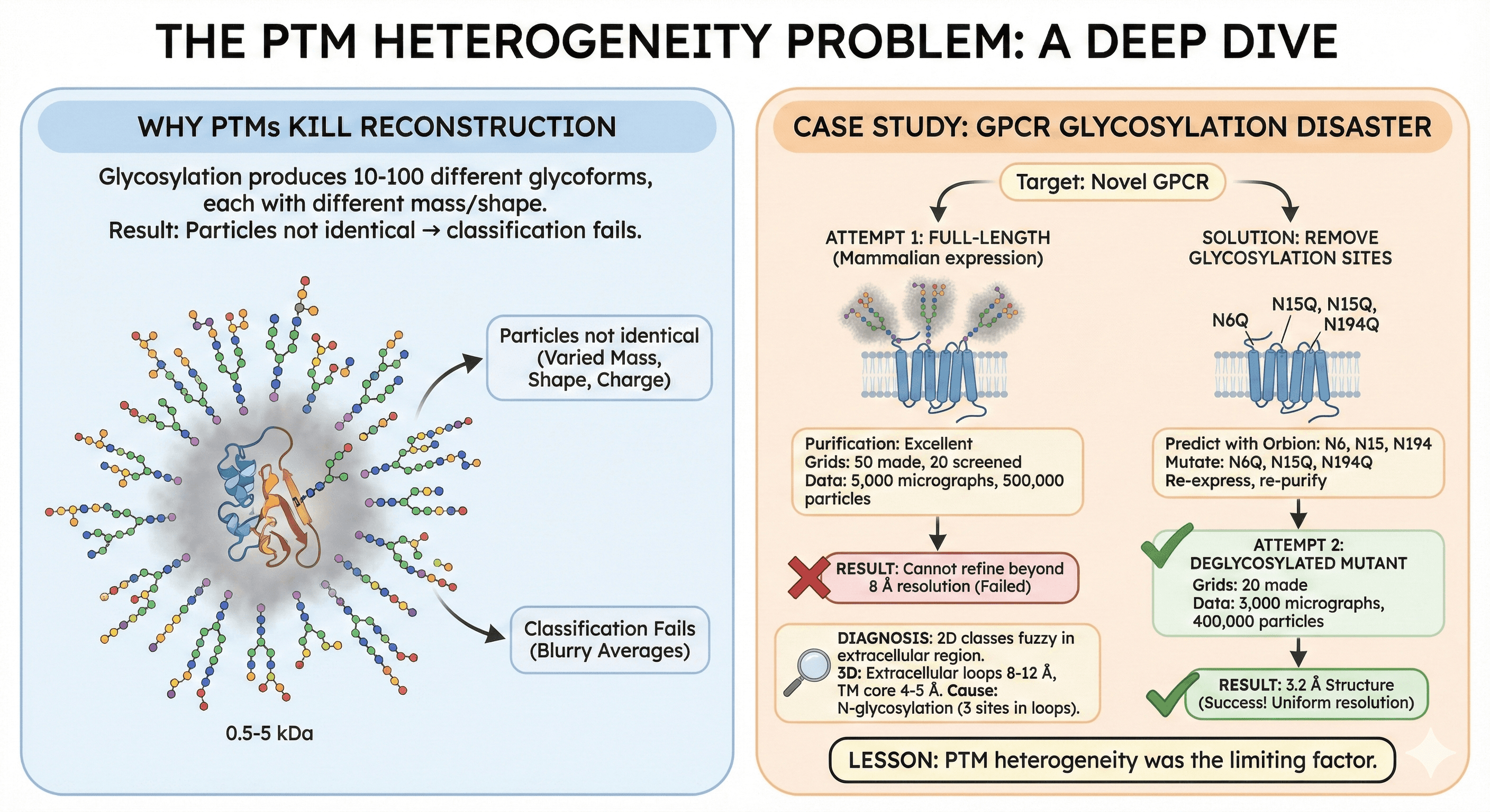 Diagram Showing PTM Heterogeneity's Effect on Cryo-EM Sample Success