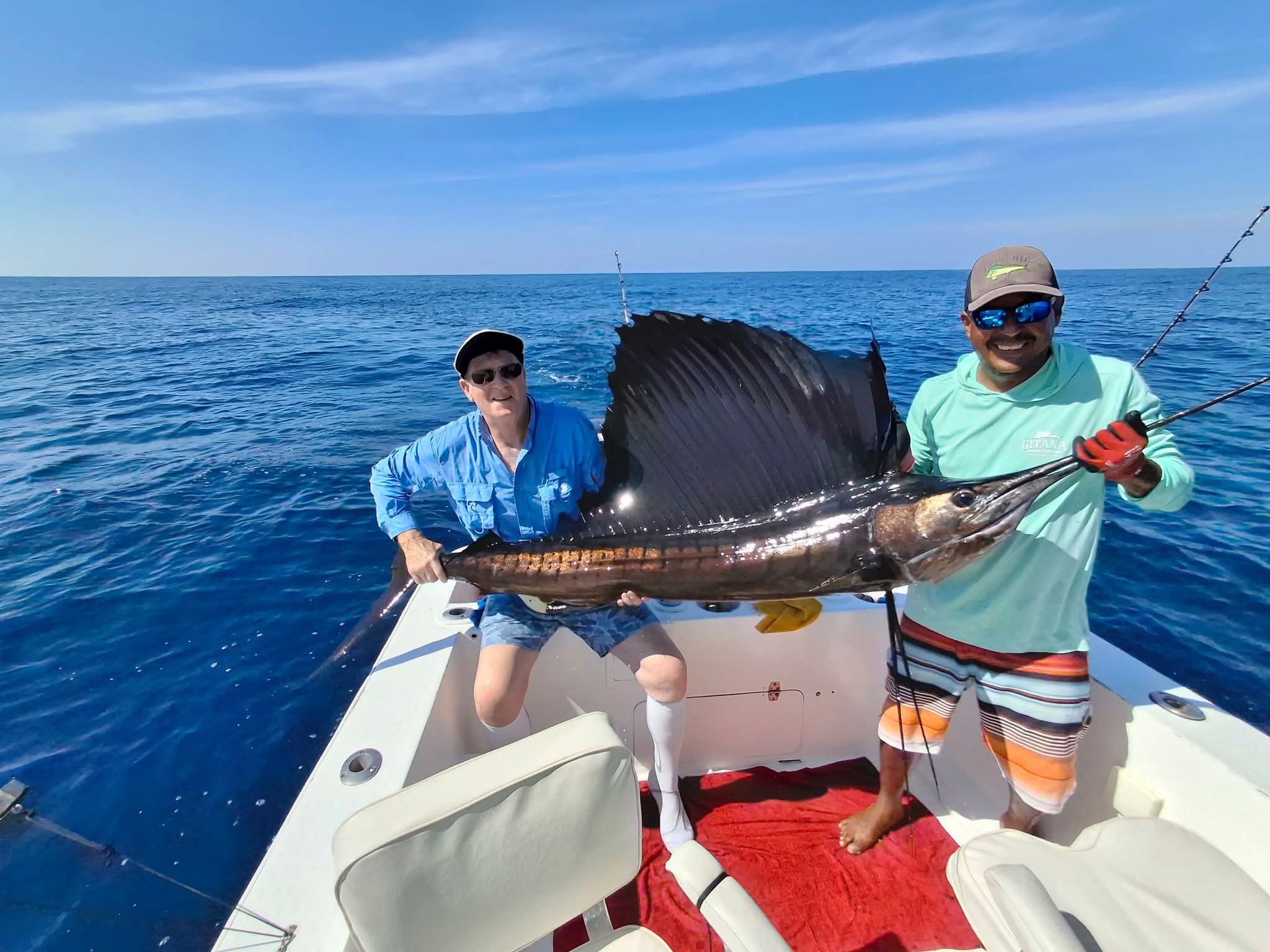 Mexico, sailfish, rooster, mahi mahi