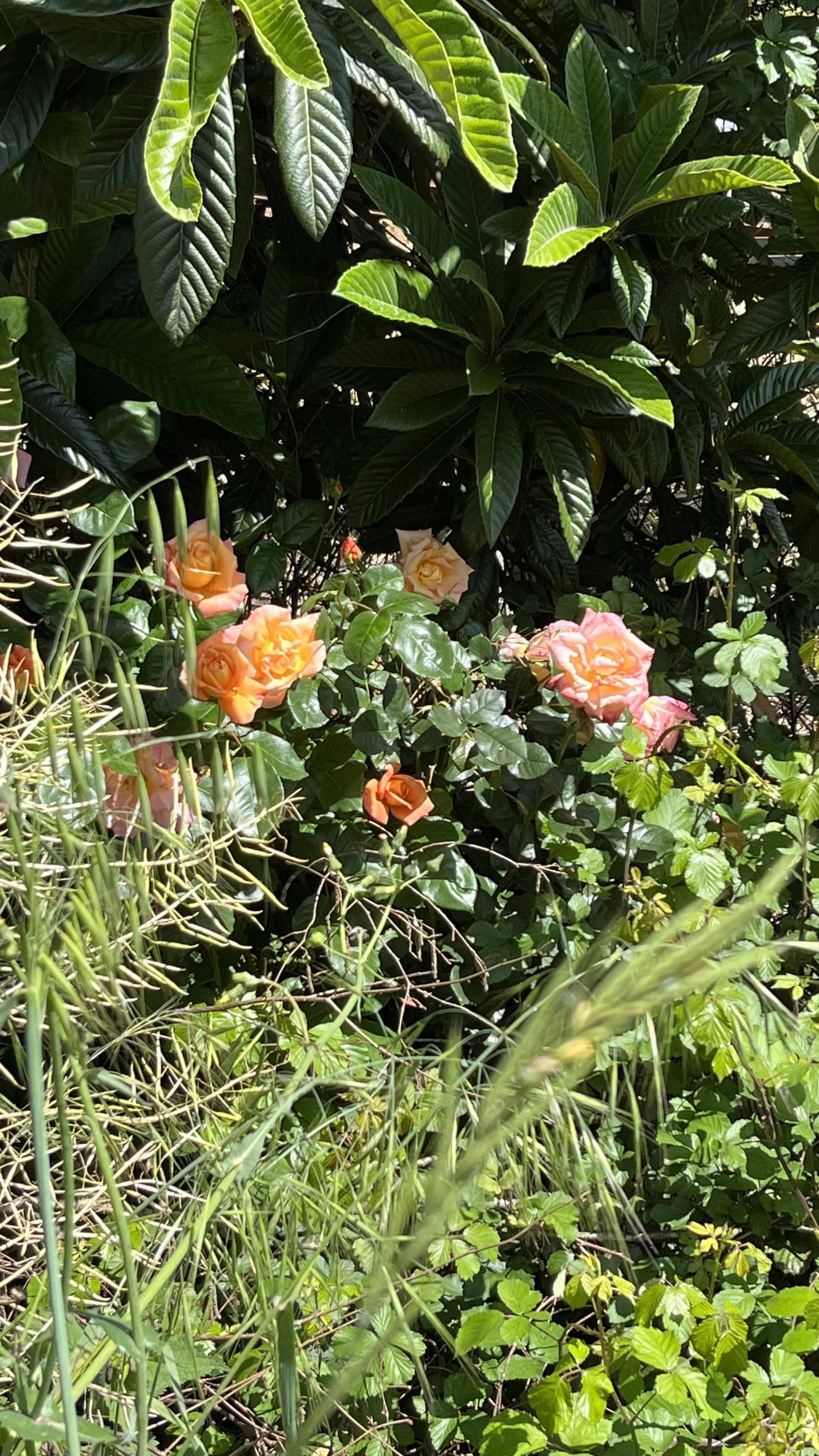 The image featured at the top of the about us page #2