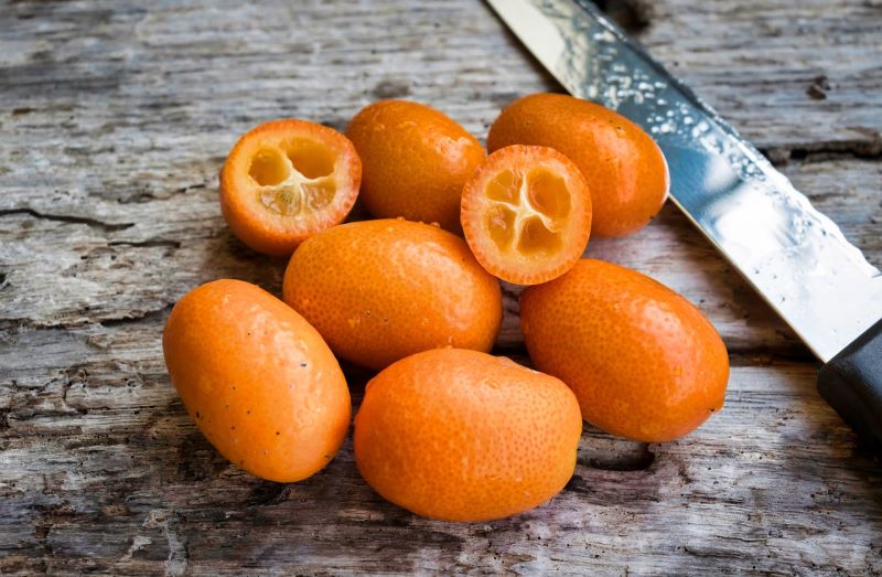 Kumquat