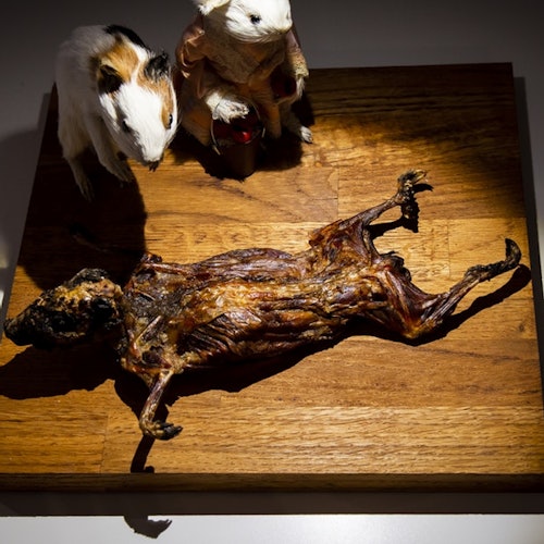 马尔默恶心食品博物馆：入场门票