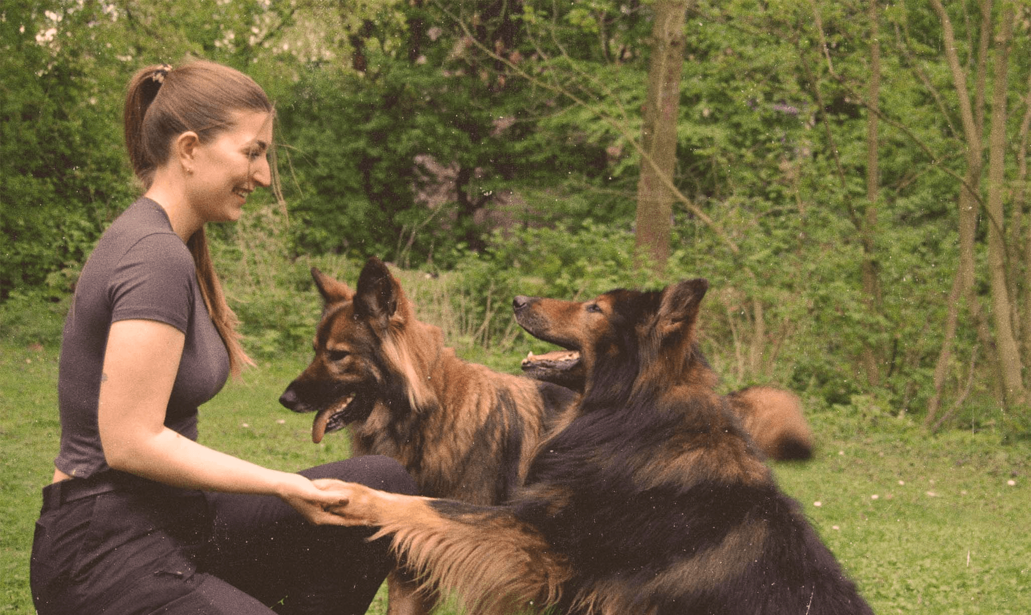 Xenia mit zwei Schäferhunden, von denen einer Pfote gibt