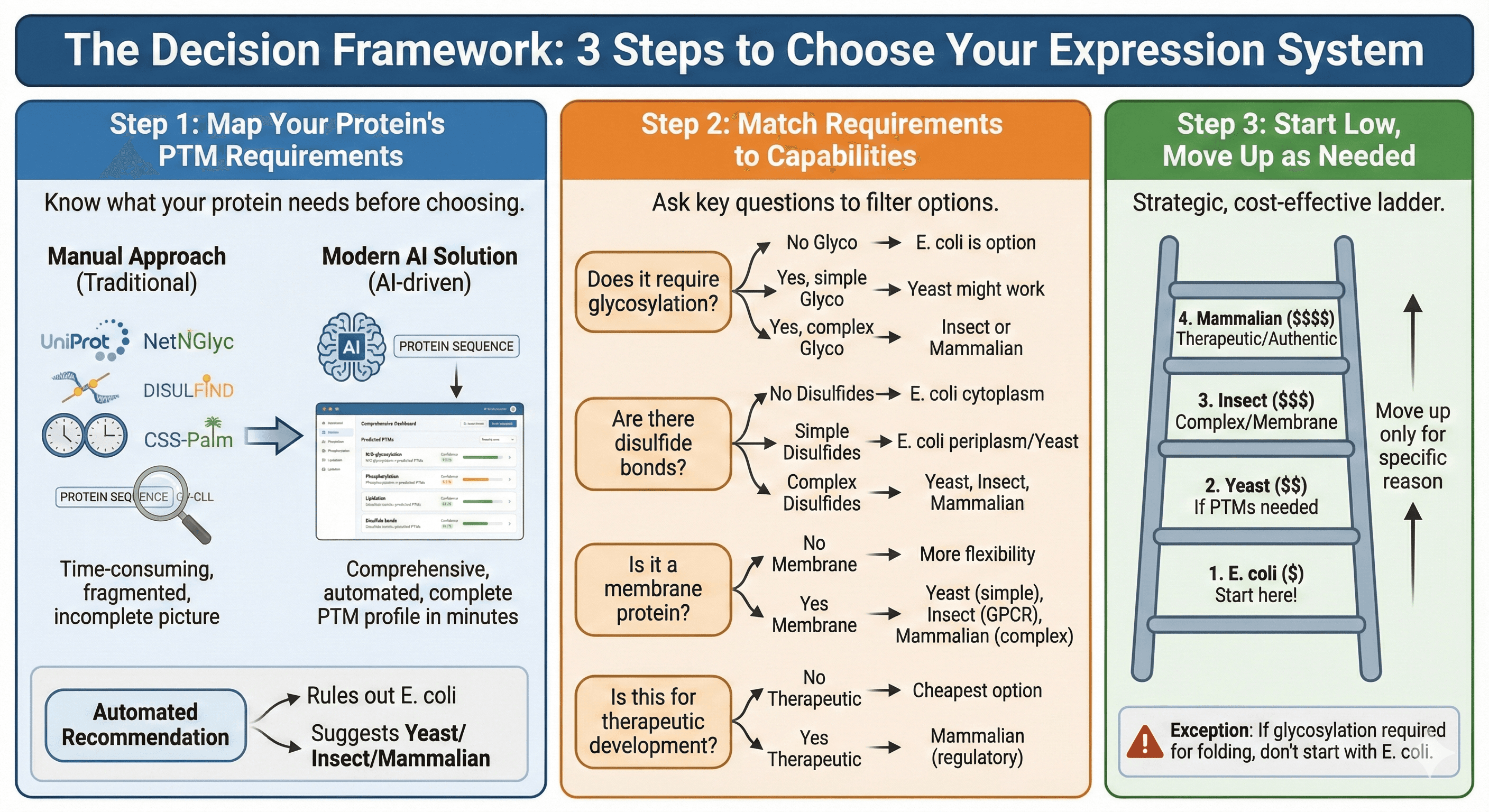 Decision Framework Diagram for Expression System Selection Based on PTMs