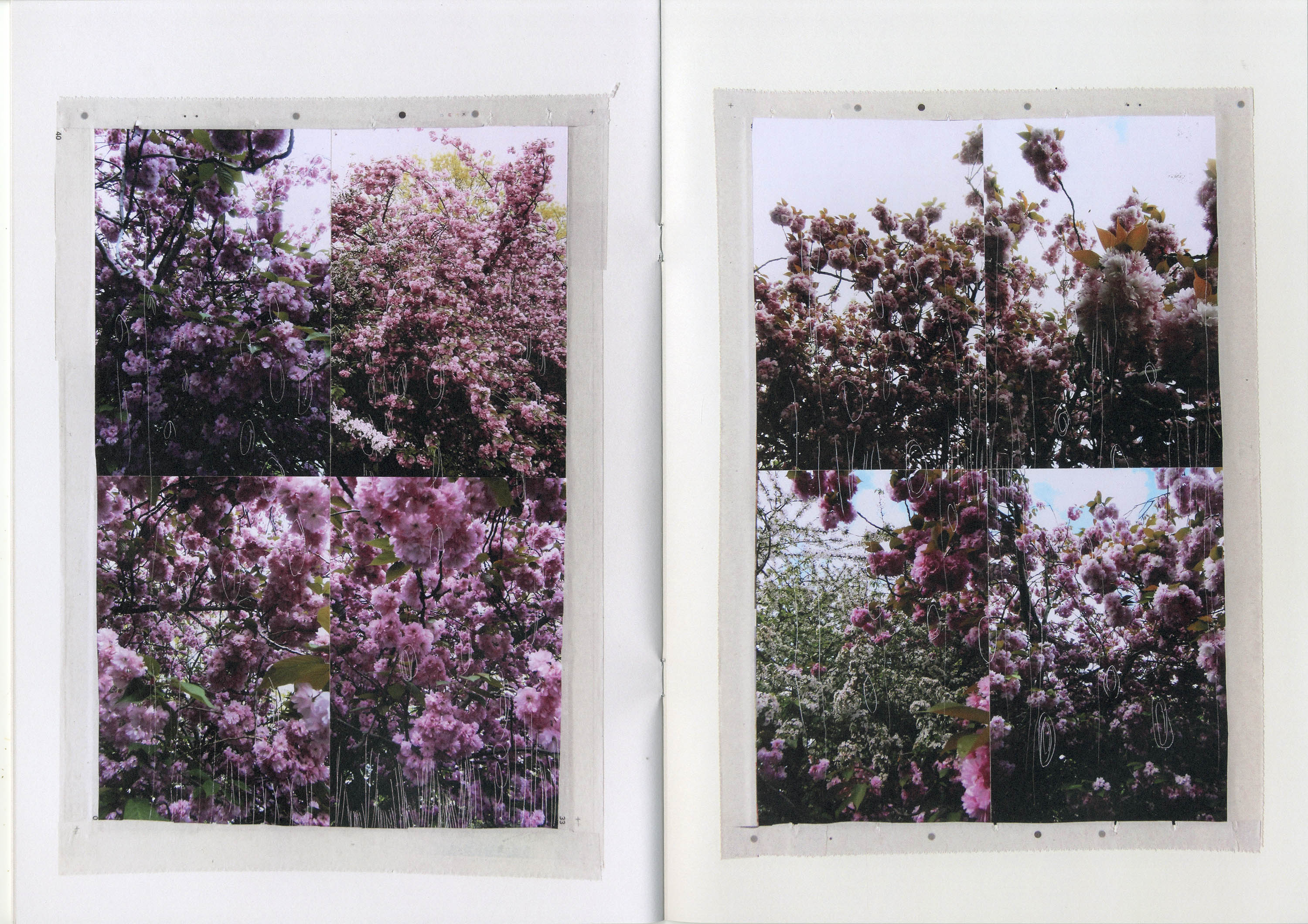 Nicholas Cheveldave publication Some Kind Of Life 3