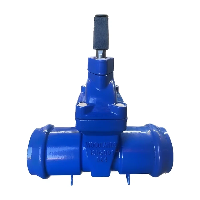 Resilient Seal Gate Valves (RSV) – Socketed