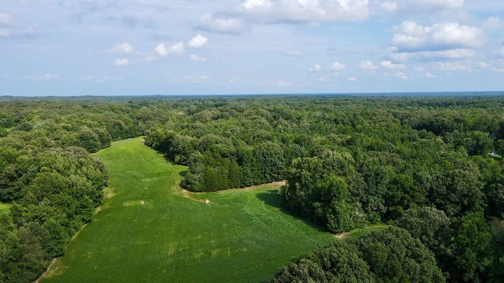 High Point, North Carolina – Certified Autism Destination