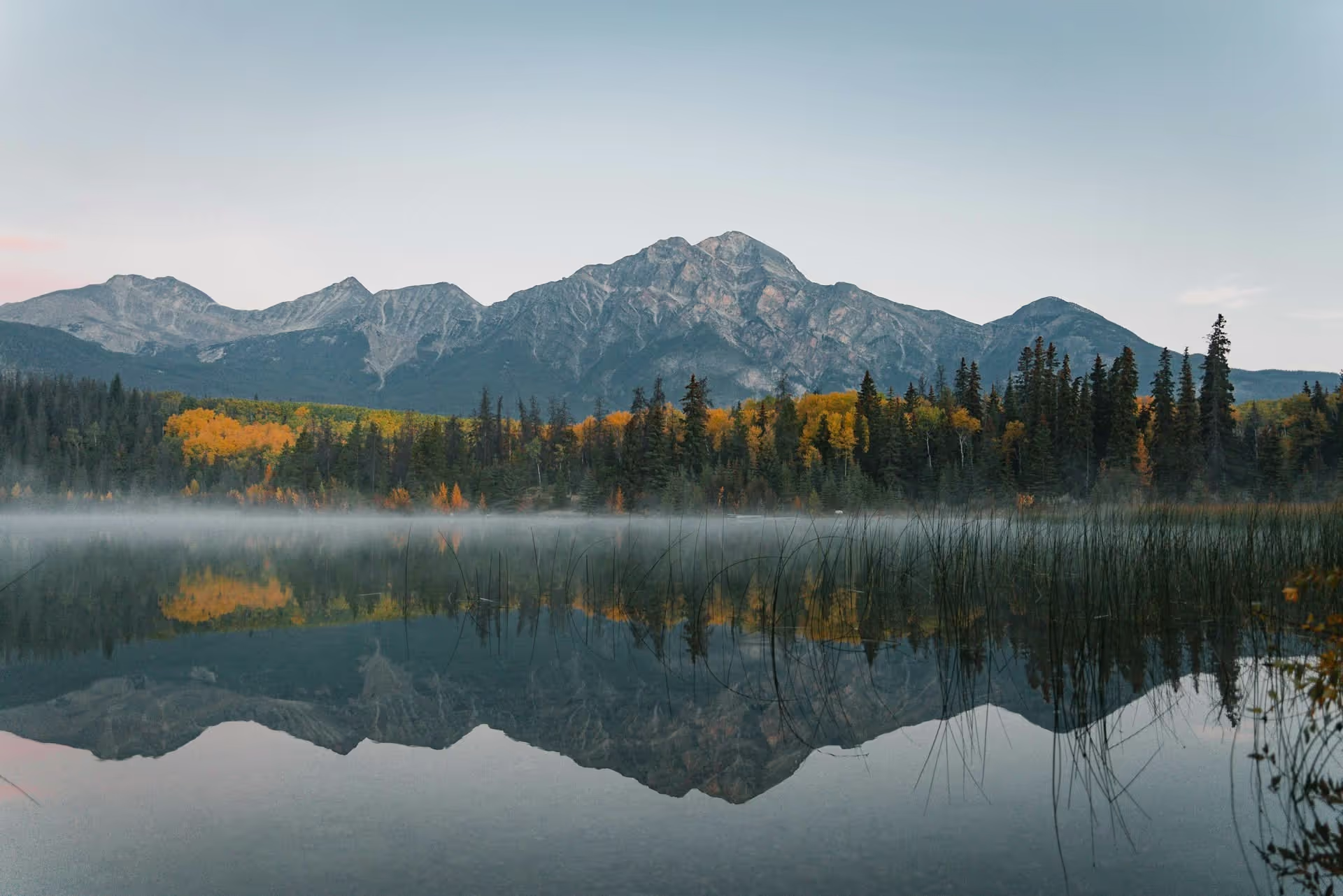 Invest Alberta case study - Twelverays