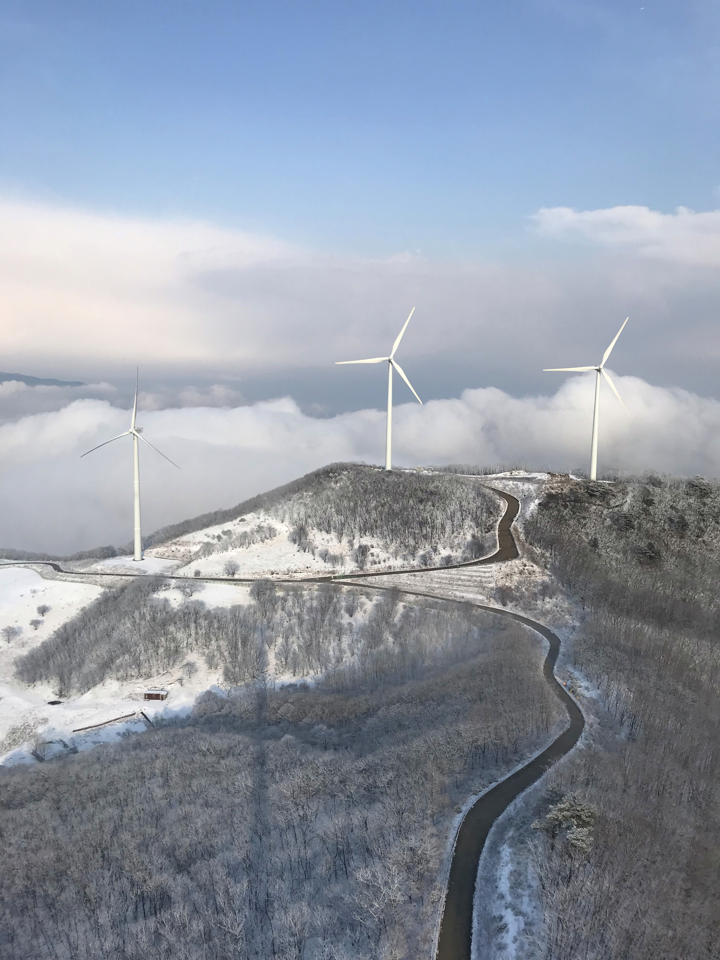 Sustainable Future with WindTree By Skylar Wind Energy Services
