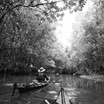 Atsiliepimas apie paslaugas