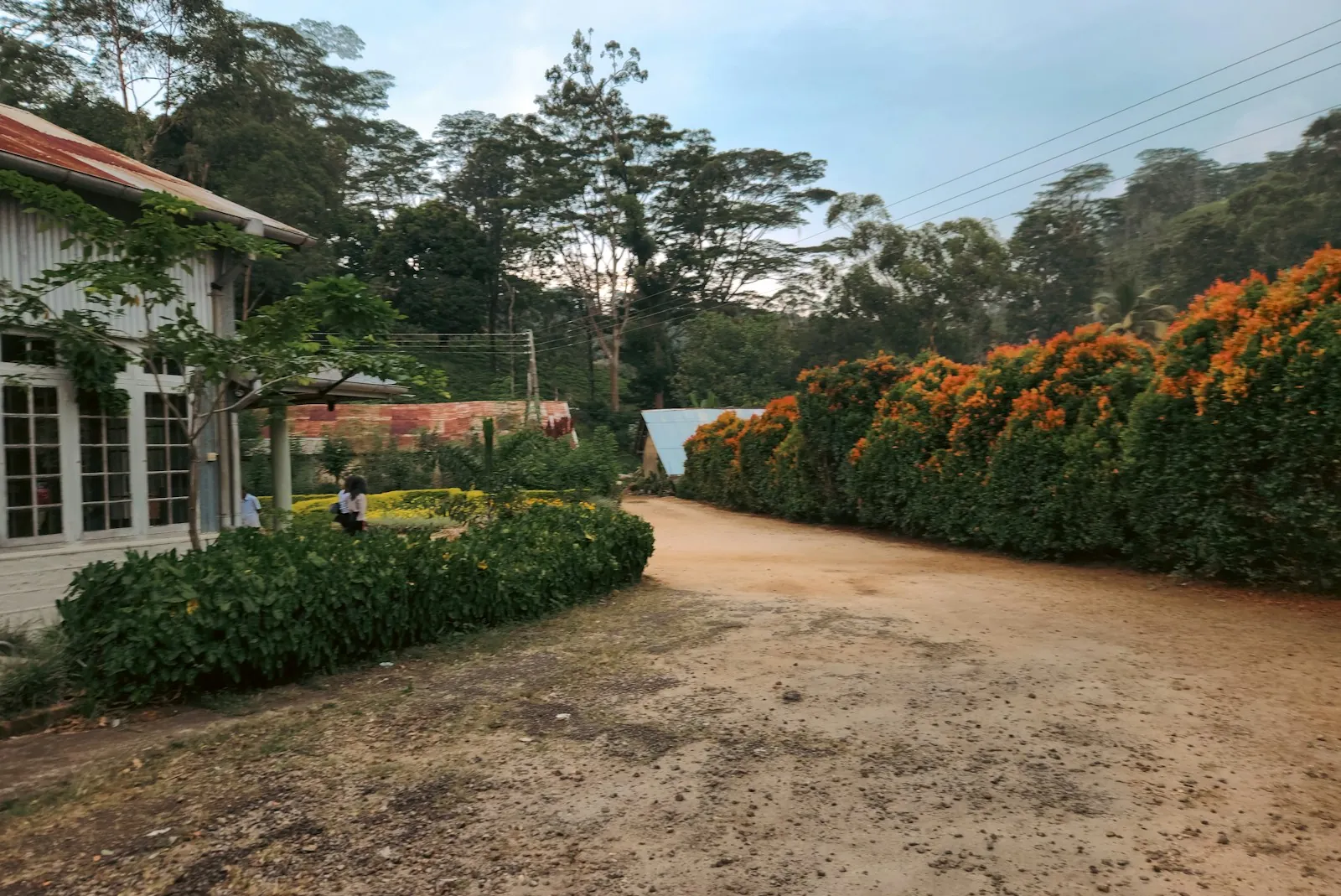 Illustrative existing home and garden