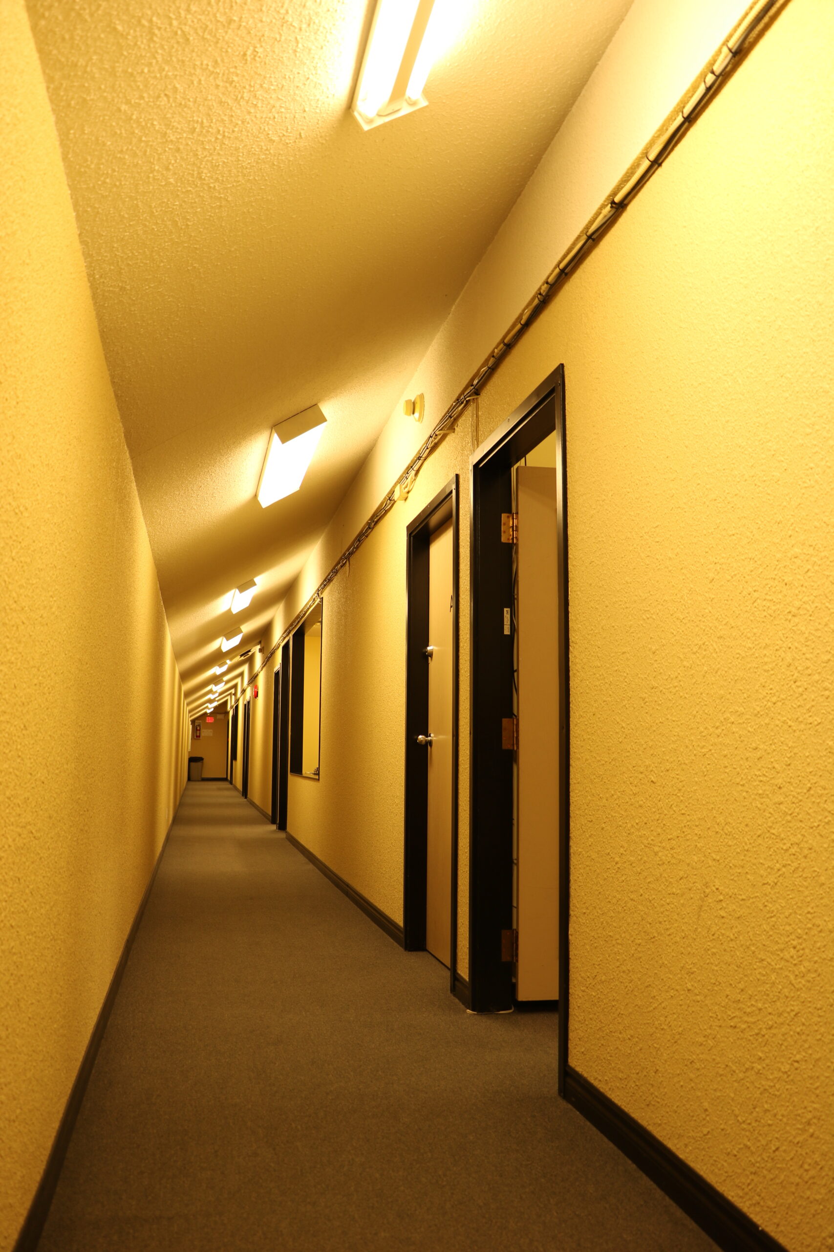 a group of young children riding skis down a snow covered slope