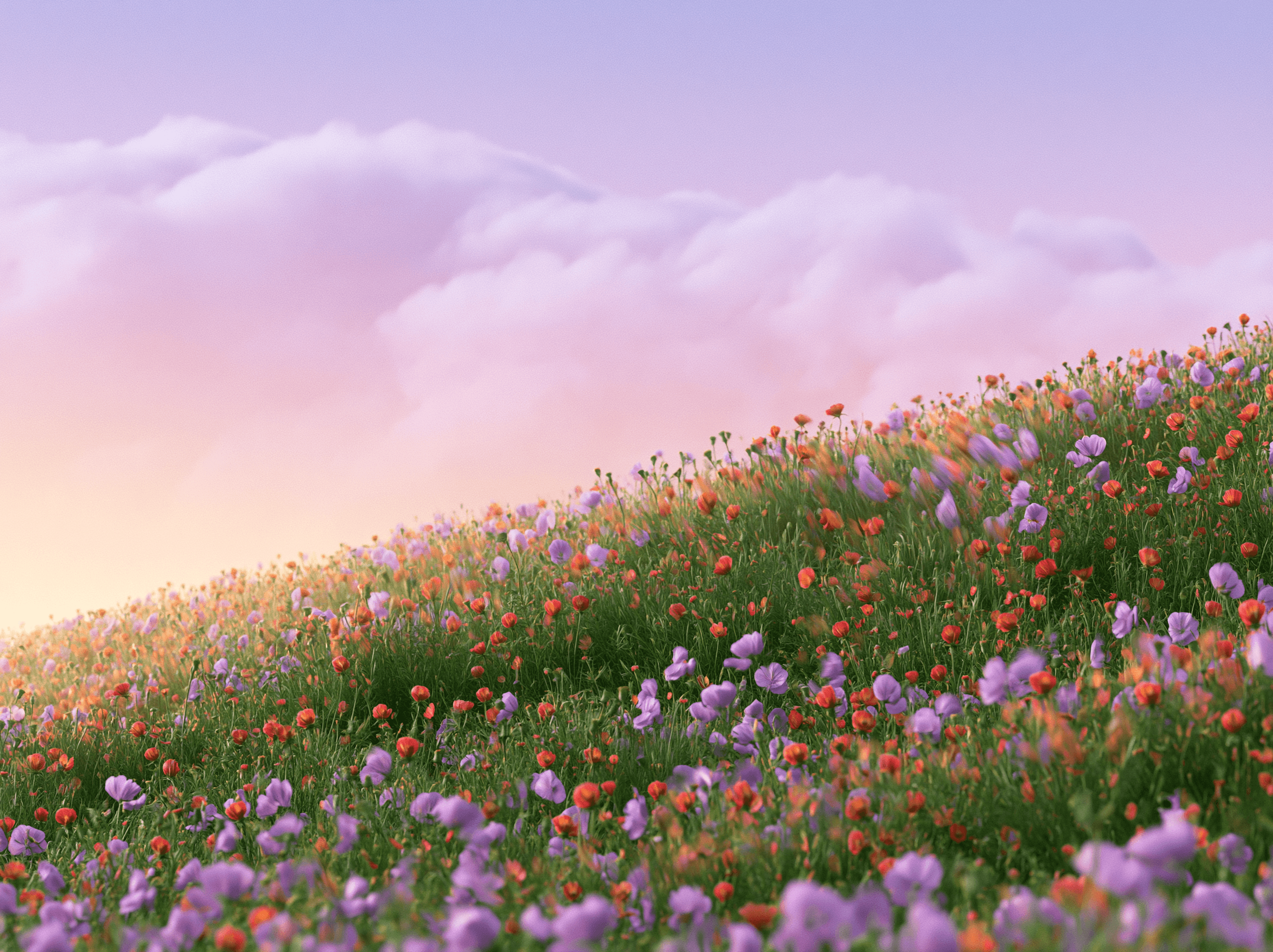 A field of wildflowers under a pastel sky