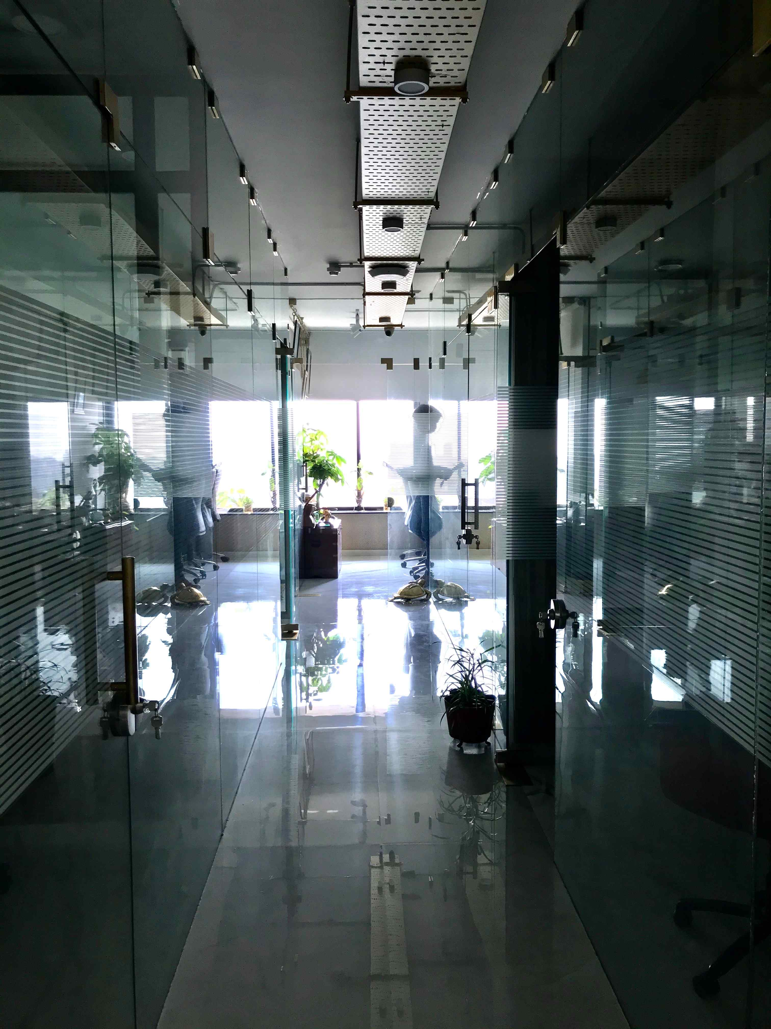 Nature-inspired preschool entrance with sculptural tree partitions and suspended green leaf ceiling panels.