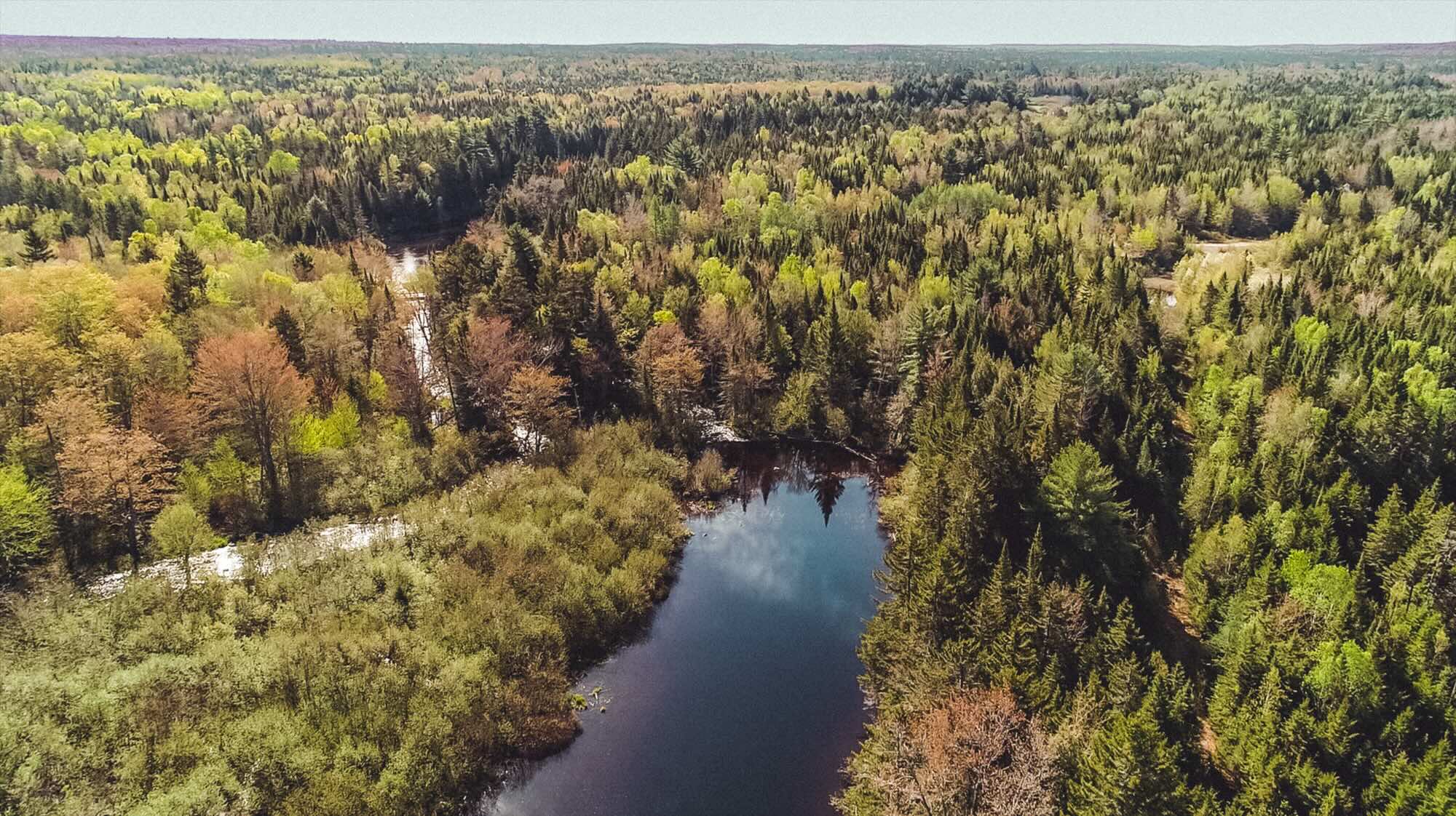 Anew Tomah Highlands improved forest management project, Acadian Forest Maine, ACR 617