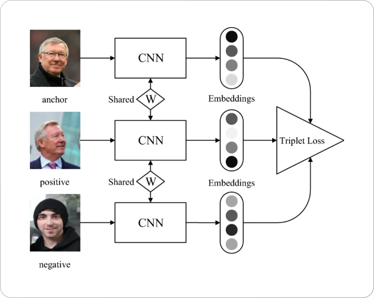 face recognition model