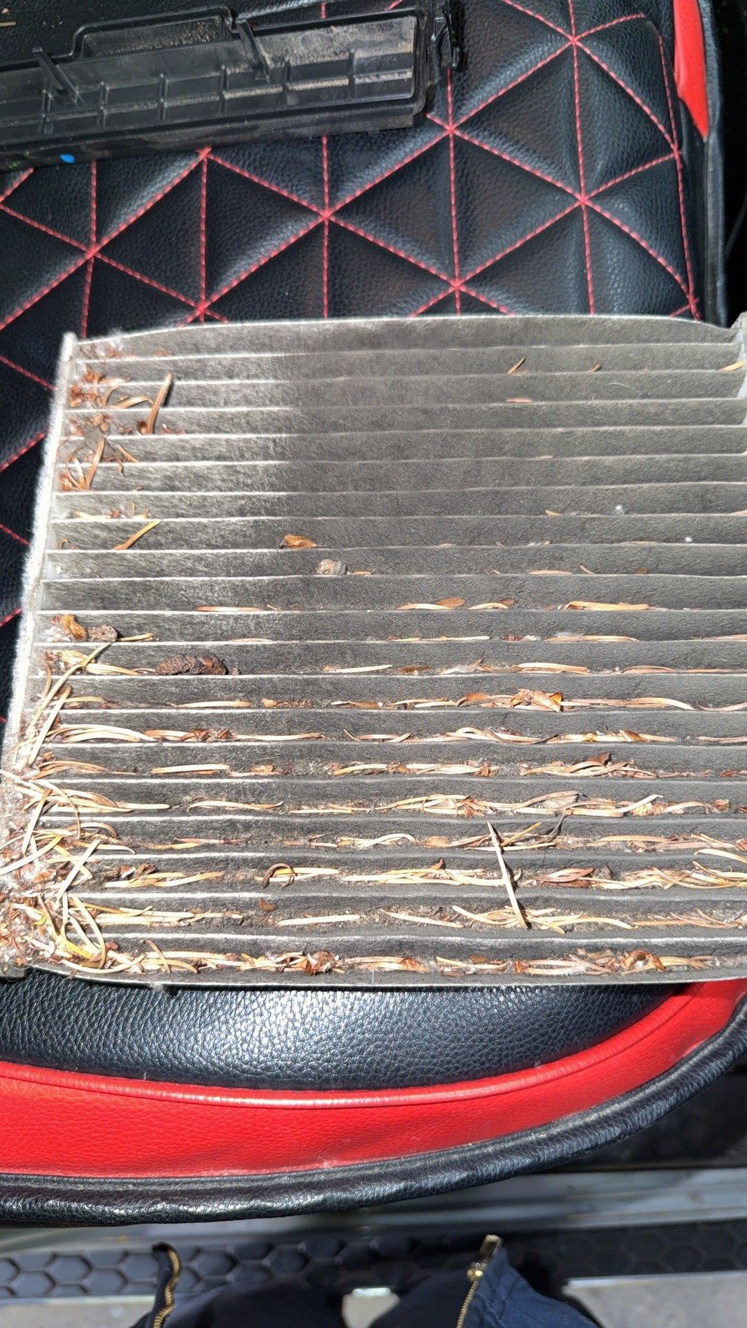 Used cabin air filter with pine needles and debris caught across its pleats